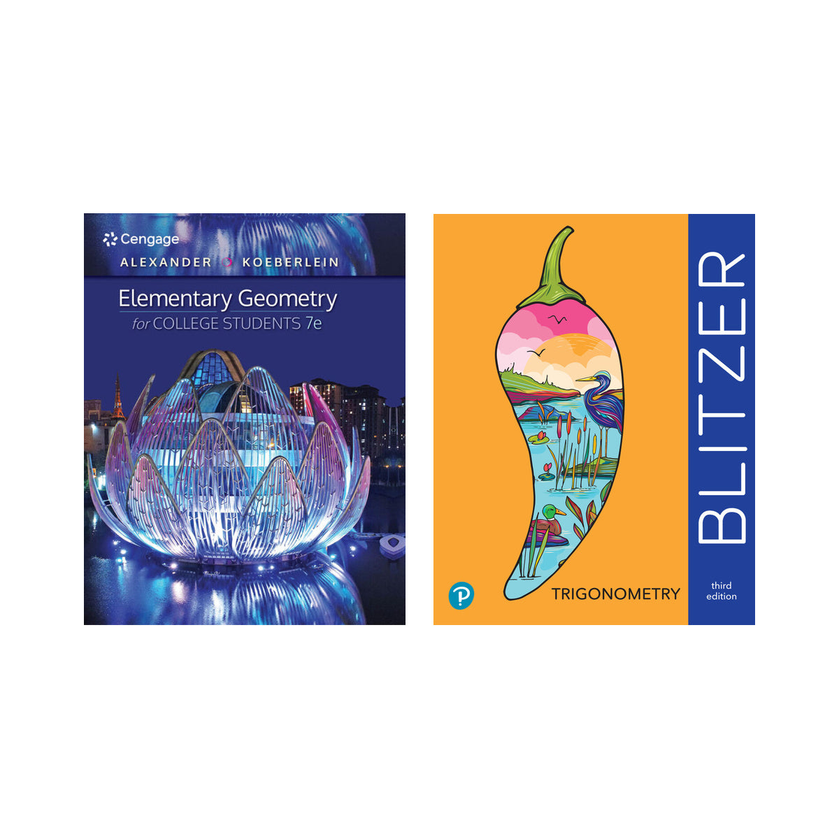 MTH201: 2 Textbook Bundle
