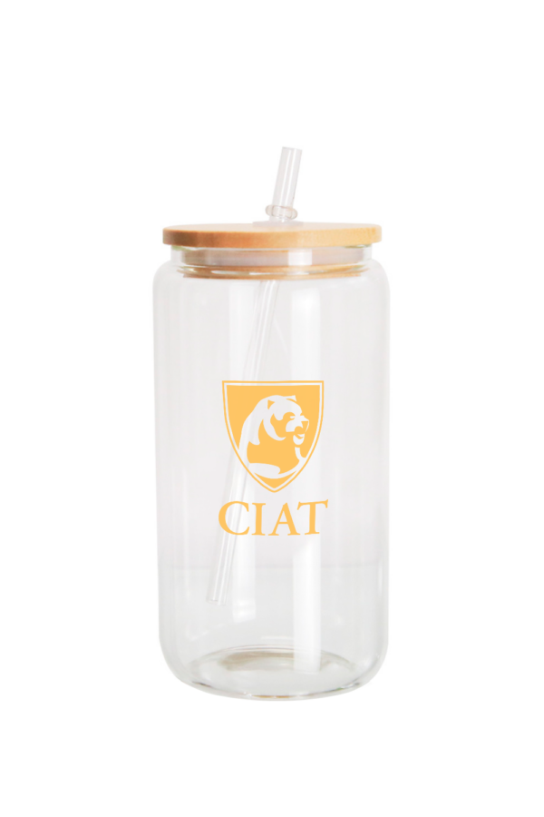 Glass Tumbler – Clear