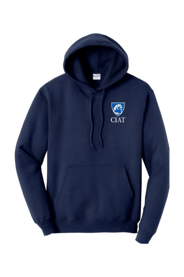 Men's Hooded Sweatshirt