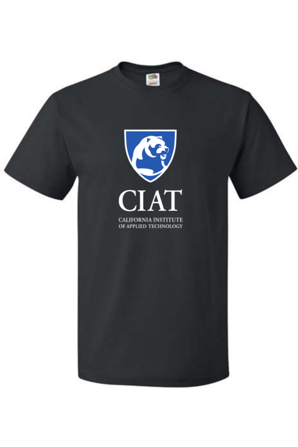 Men's Heavy 100%  Cotton T-Shirt