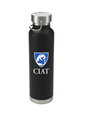 Insulated Bottle 22oz