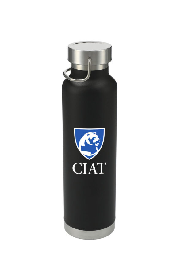 Insulated Bottle 22oz