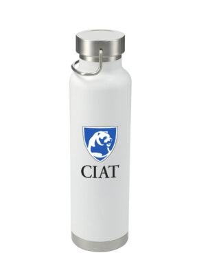 Insulated Bottle 22oz - Image 5